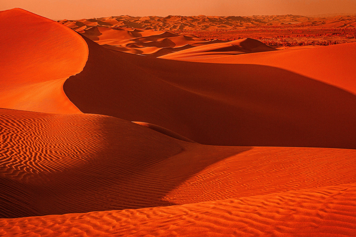 Diversifying your Investment Portfolio: The Importance of Going Global